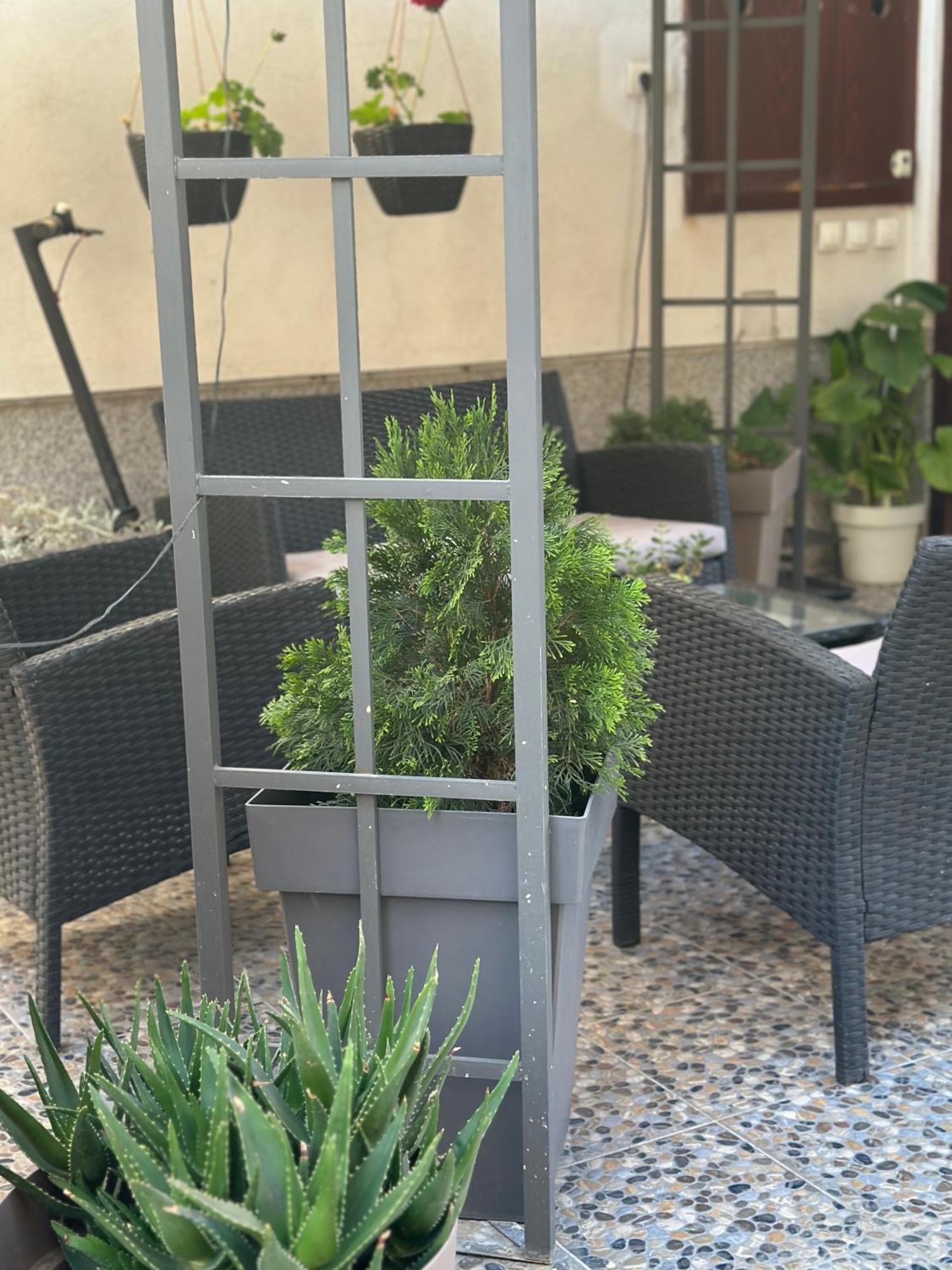 Lilyy Appartement Leskovac  Buitenkant foto