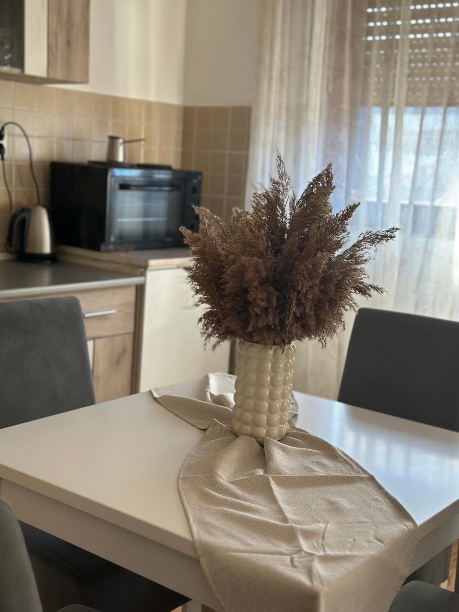 Lilyy Appartement Leskovac  Buitenkant foto